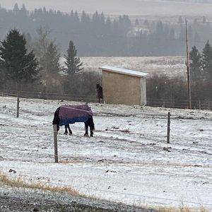 Meet your Posher, Gwendolyn